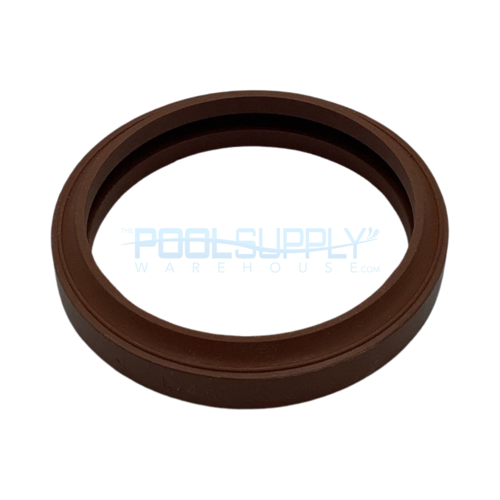 Pentair Sunlight Lens Gasket - 05601-0014 - The Pool Supply Warehouse