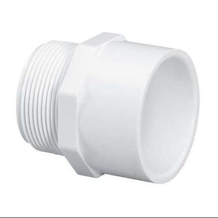 LASCO 436020 Male Adapter,2 In,MPT x Slip-The Pool Supply Warehouse