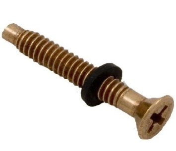 Pentair Brass Pilot Screw with Captive Gum Washer - 79104800-The Pool Supply Warehouse