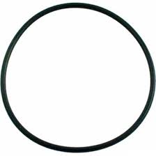 Waterway Plastics O-Ring For Champion 56-Frame Pump - 805-0238 - The Pool Supply Warehouse