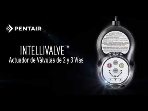 Pentair IntelliValve Valve Actuator-The Pool Supply Warehouse