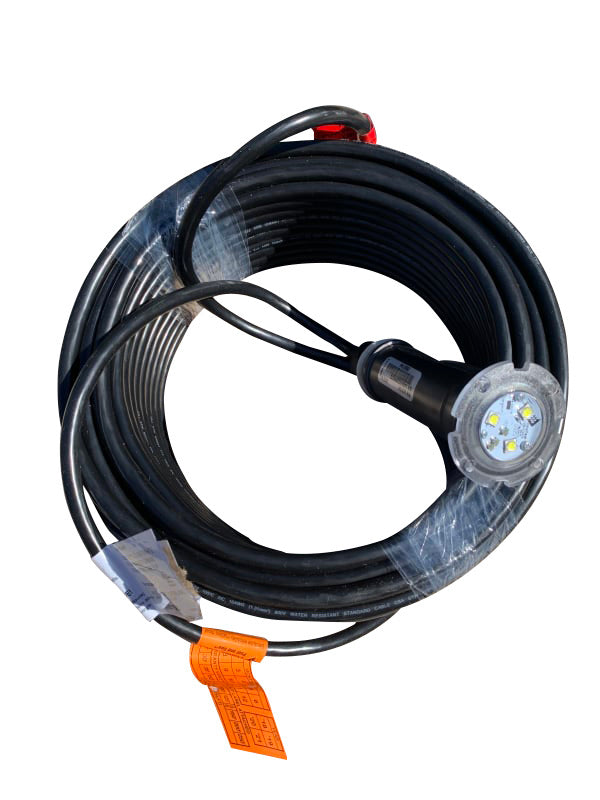 Pentair GloBrite® White LED 15W 12V 100FT Cord - 602104-The Pool Supply Warehouse