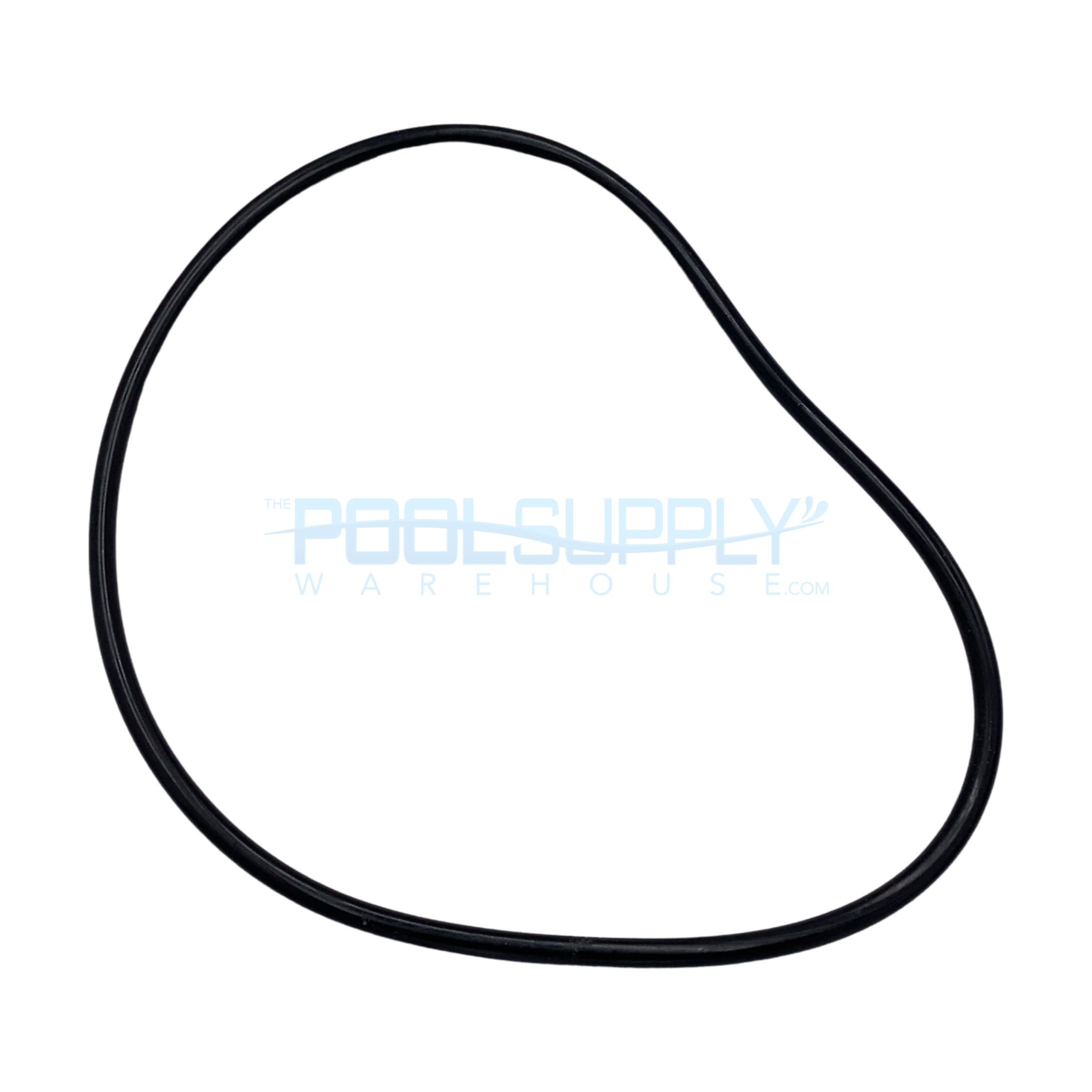 Clean and Clear/Warrior/EasyClean Tank Body O-Ring - 87300400Z - The Pool Supply Warehouse