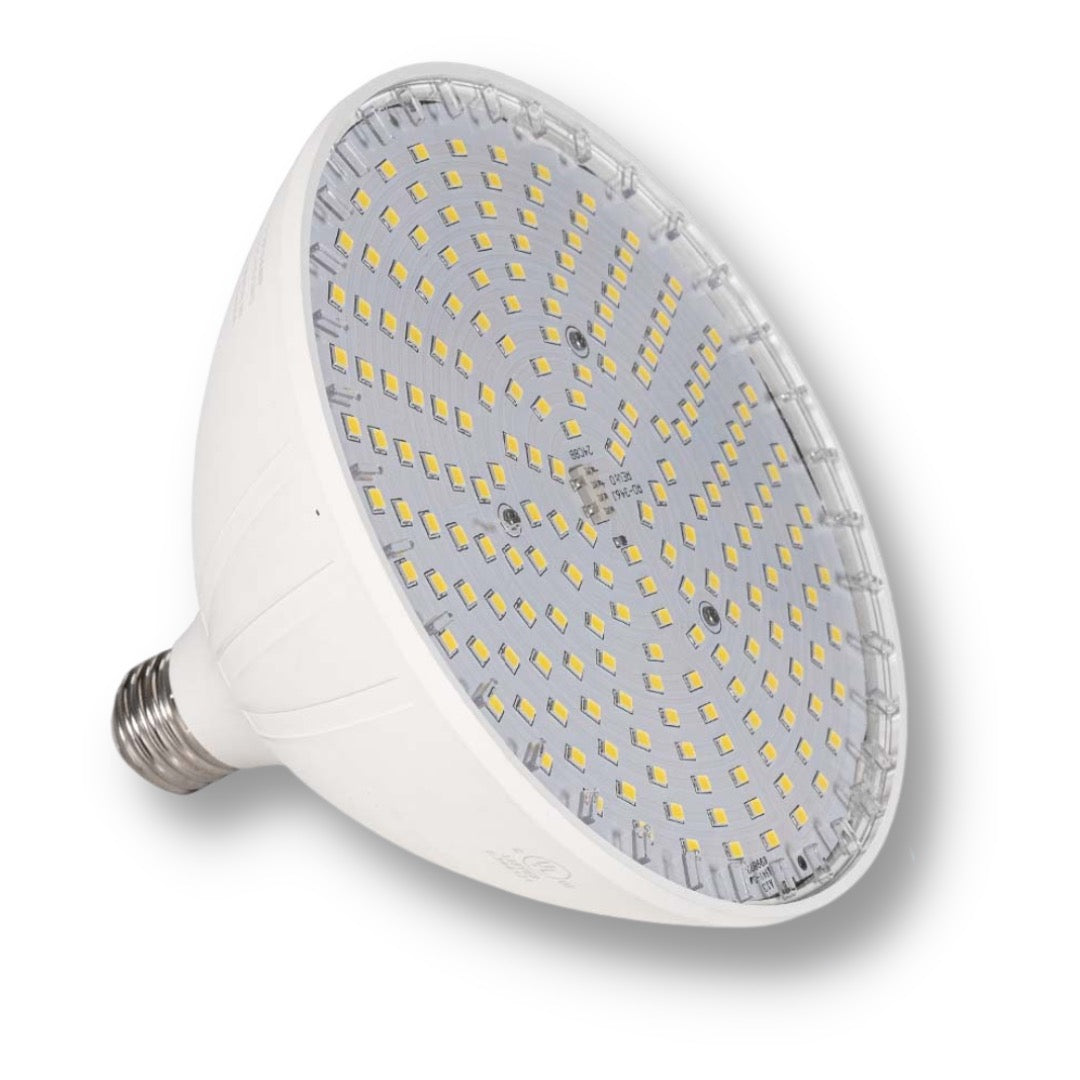 Vivid 360™ White LED Pool Bulb 35W