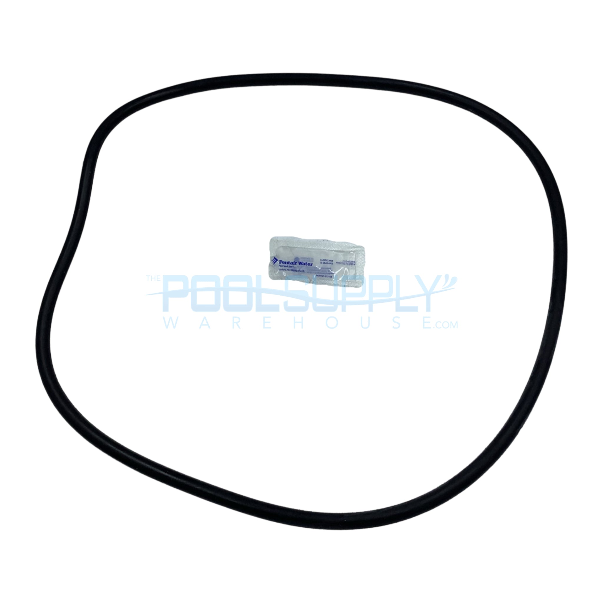 Pentair Body O-Ring For Tank Replacement - 27001-0061S - The Pool Supply Warehouse