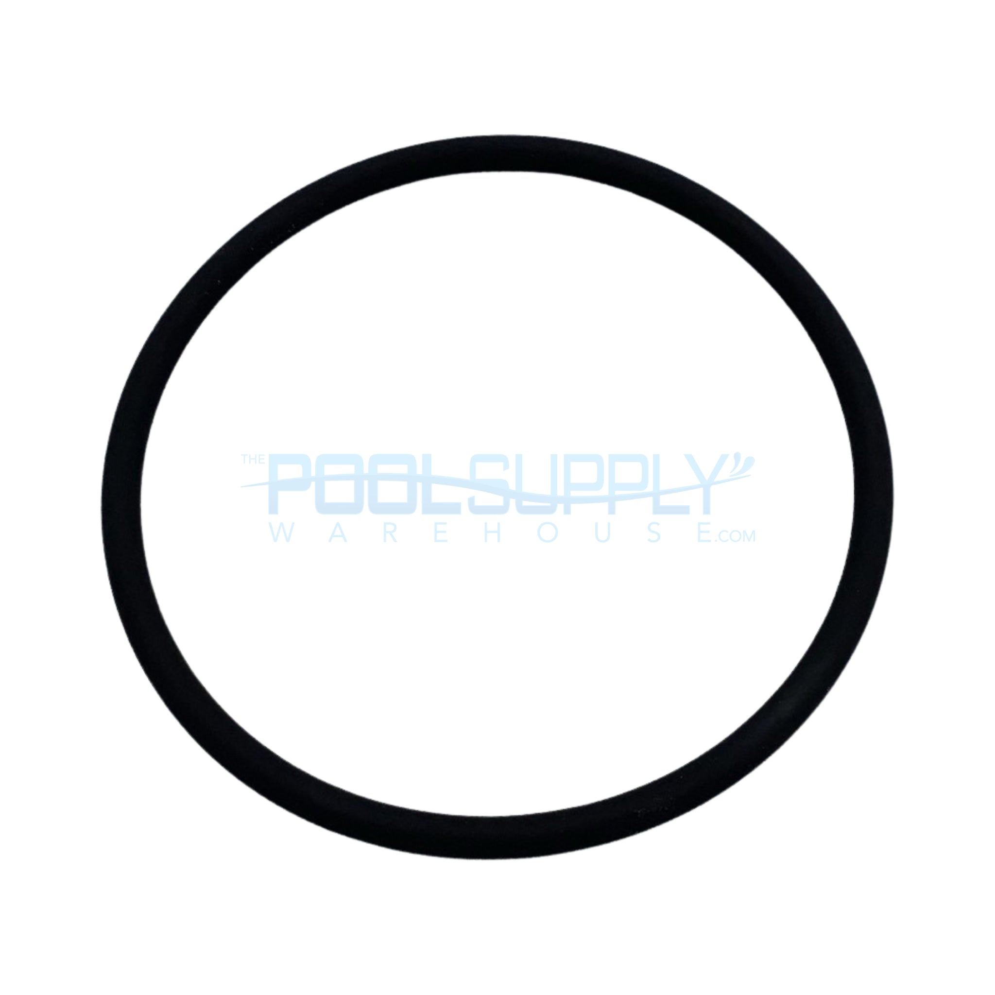 Pentair Cap O-Ring Replacement Rainbow 300/320 Pool Spa Chlorinator Lid - R172009Z - The Pool Supply Warehouse