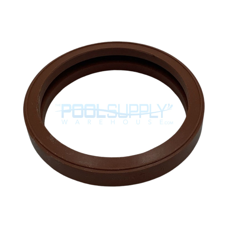 Pentair Sunlight Lens Gasket - 05601-0014 - The Pool Supply Warehouse