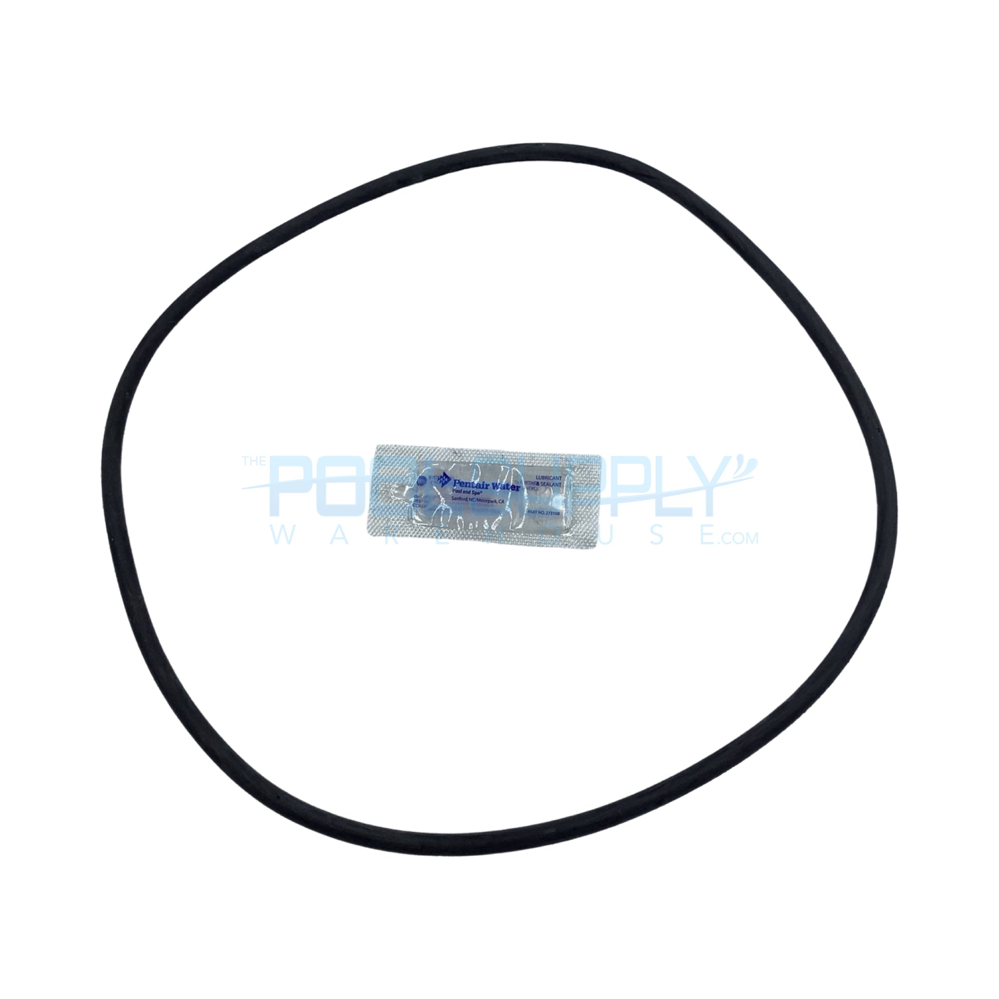 Pentair Tank O-Ring - 25230-0010S - The Pool Supply Warehouse