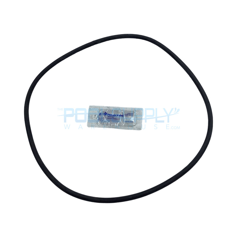 Pentair Tank O-Ring - 25230-0010S - The Pool Supply Warehouse