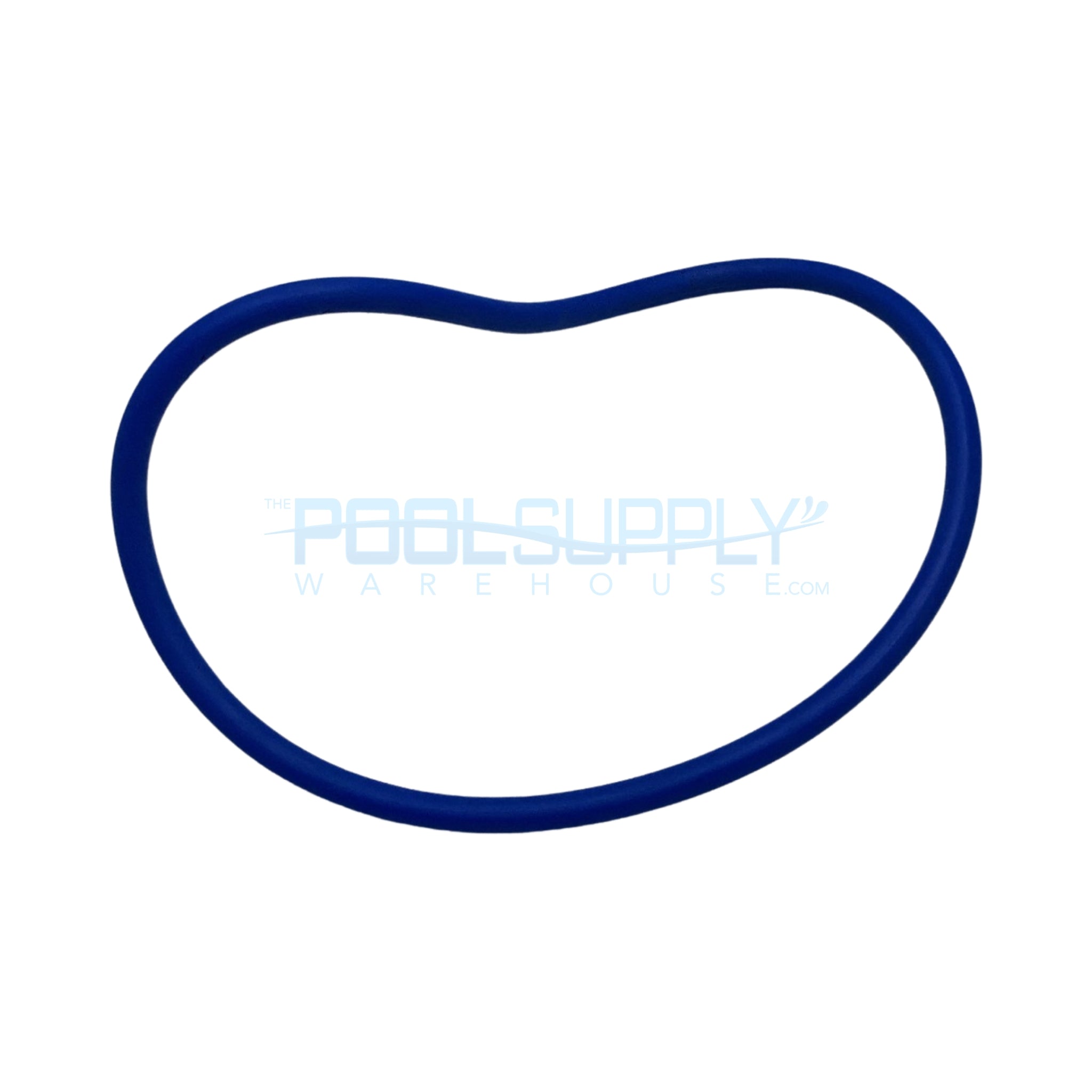 Pentair Trap Lid Gasket/Cover O-Ring - U9-229Z - The Pool Supply Warehouse