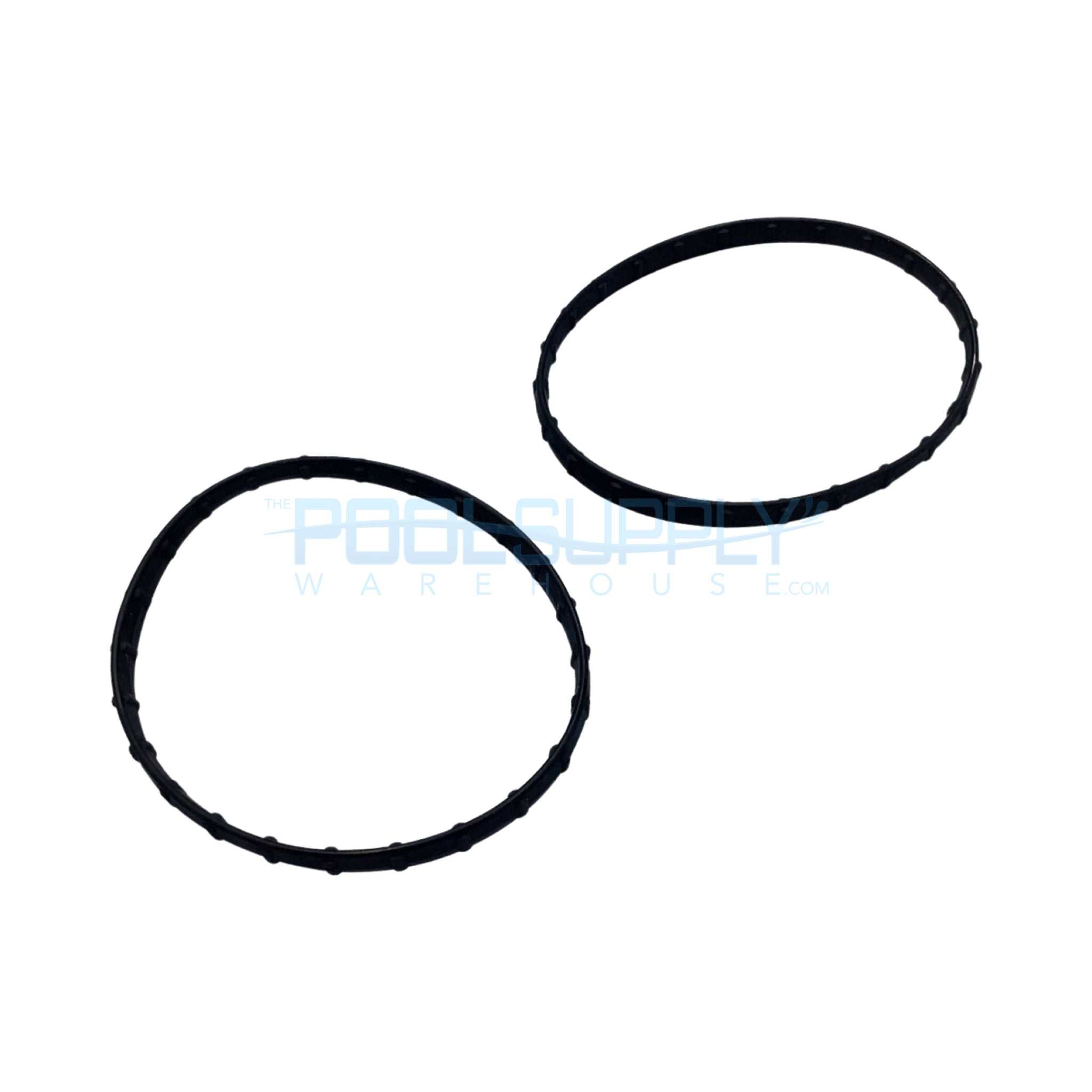 Pentair Union Diamond Seal (2 Pack) - 178746Z - The Pool Supply Warehouse