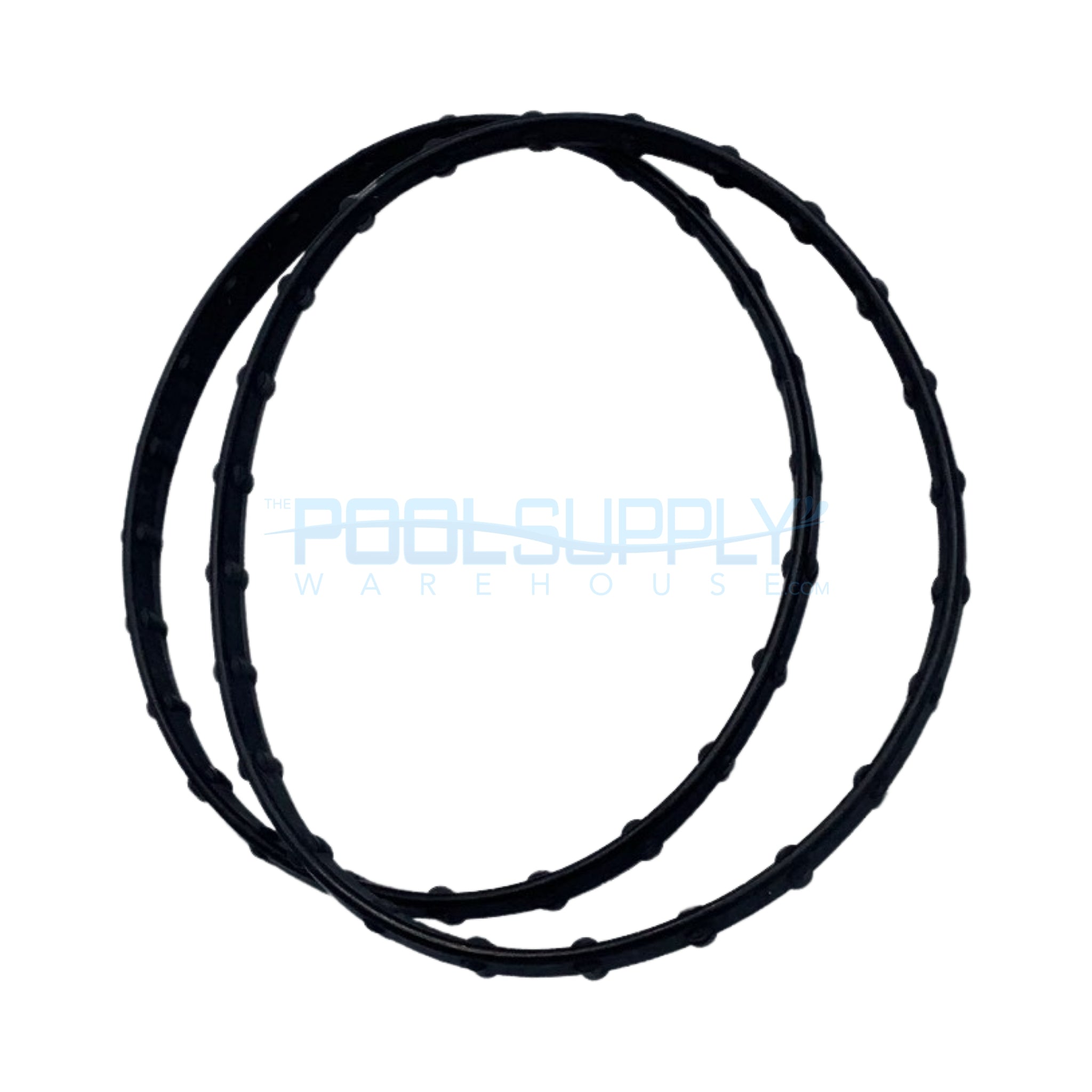 Pentair Union Diamond Seal (2 Pack) - 178746Z - The Pool Supply Warehouse