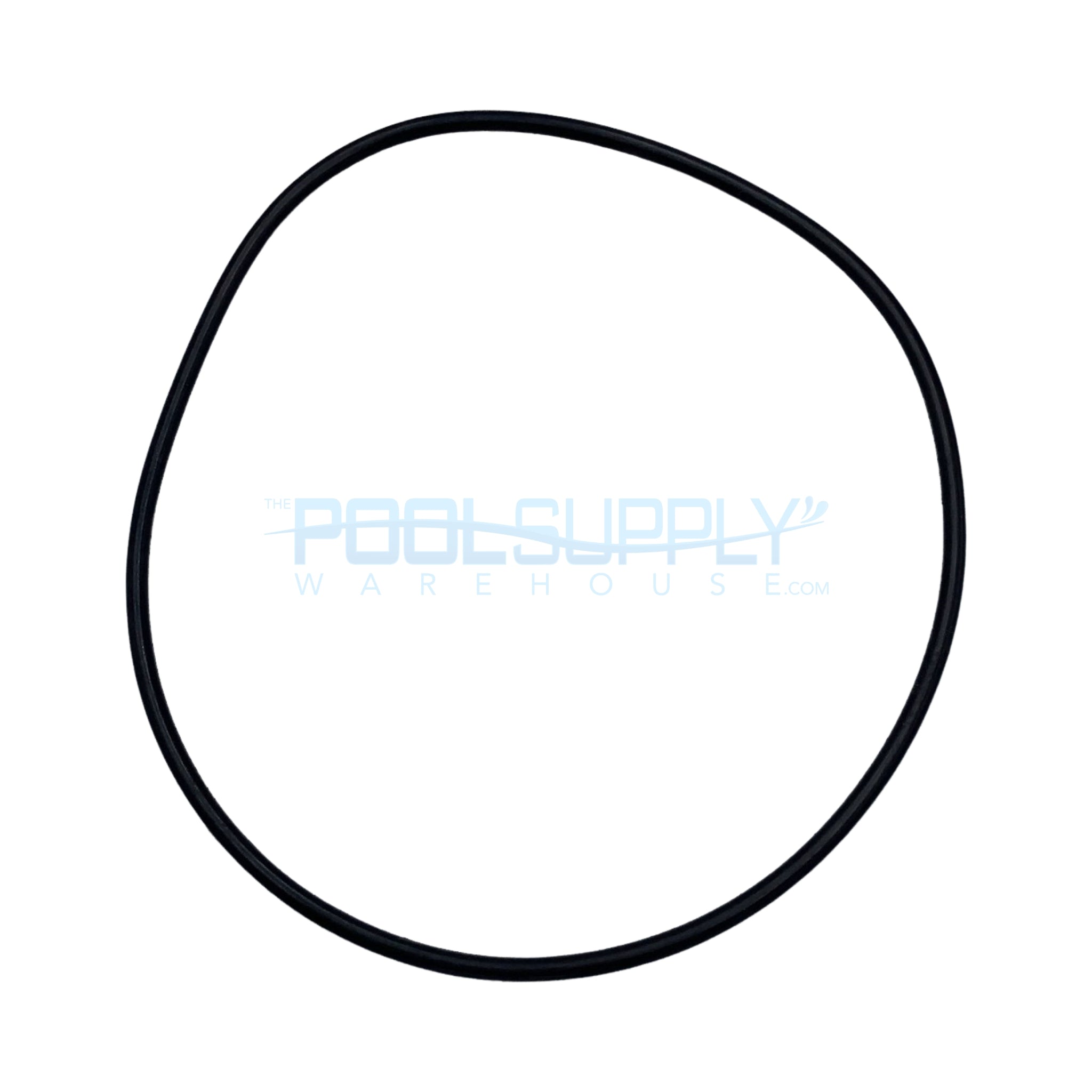 Pentair Valve Adapter Seal Bracket O-Ring - 355619Z - The Pool Supply Warehouse