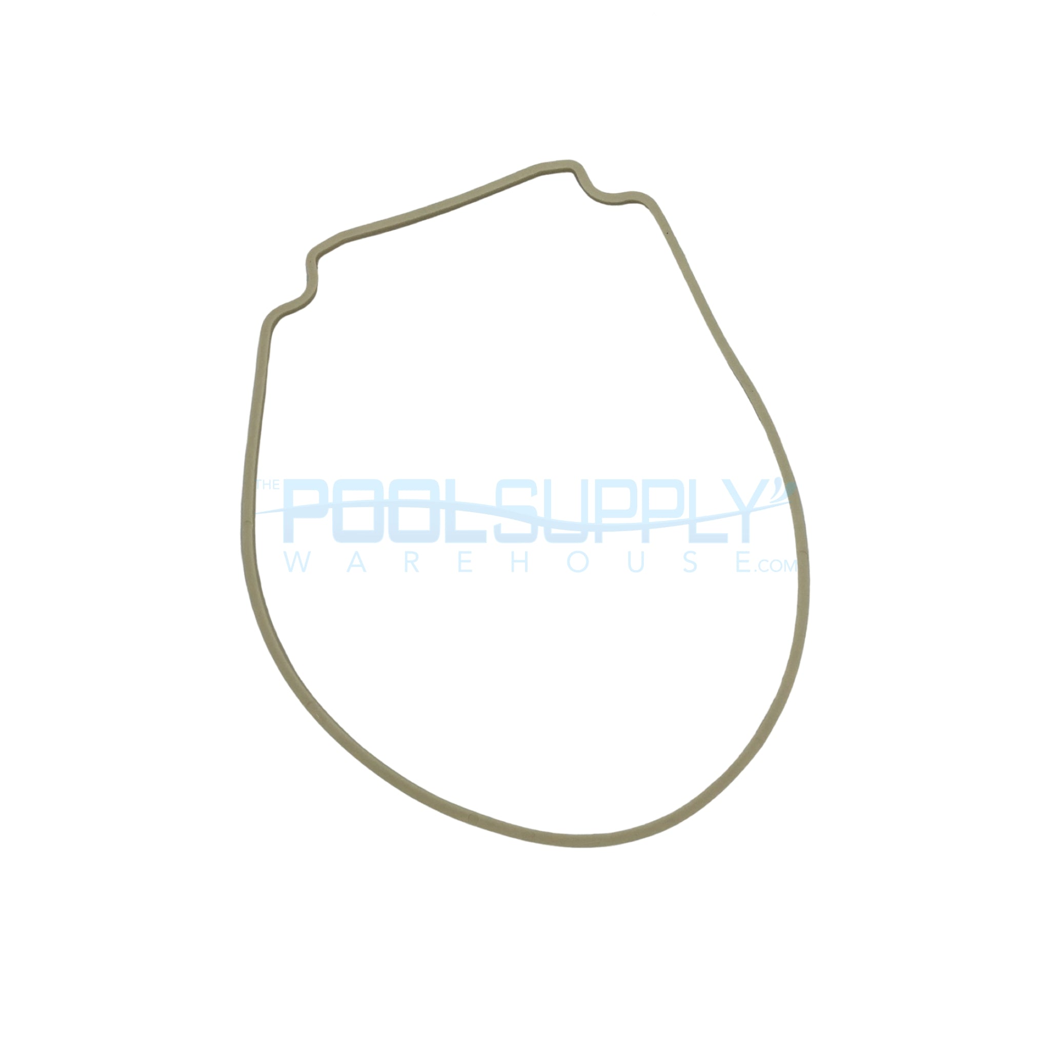 Pentair WhisperFlo/IntelliFlo Seal Plate Gasket - 357102Z - The Pool Supply Warehouse
