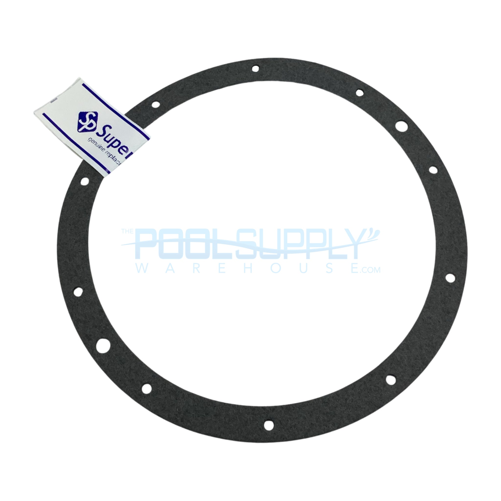 Super-Pro Gasket for Niche Standard 10 Holes; ABS, Paper - G-110P-9 - The Pool Supply Warehouse