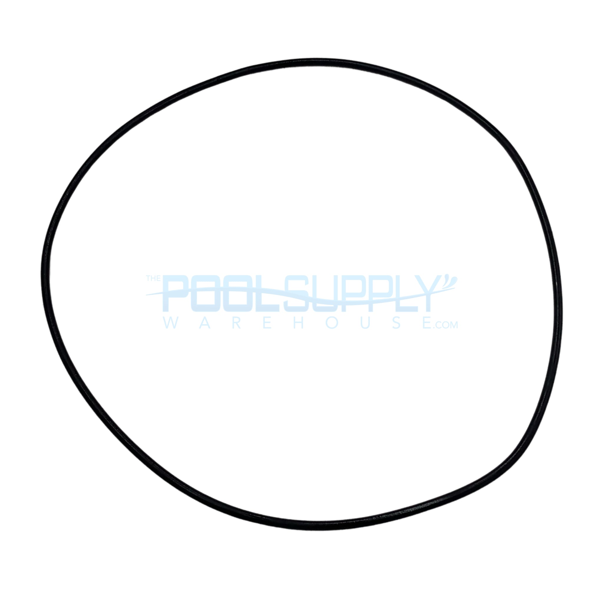 Vak Pak Builders O-Ring For DP100 & DP150 Dynapure Filter Tanks - 34380 - The Pool Supply Warehouse