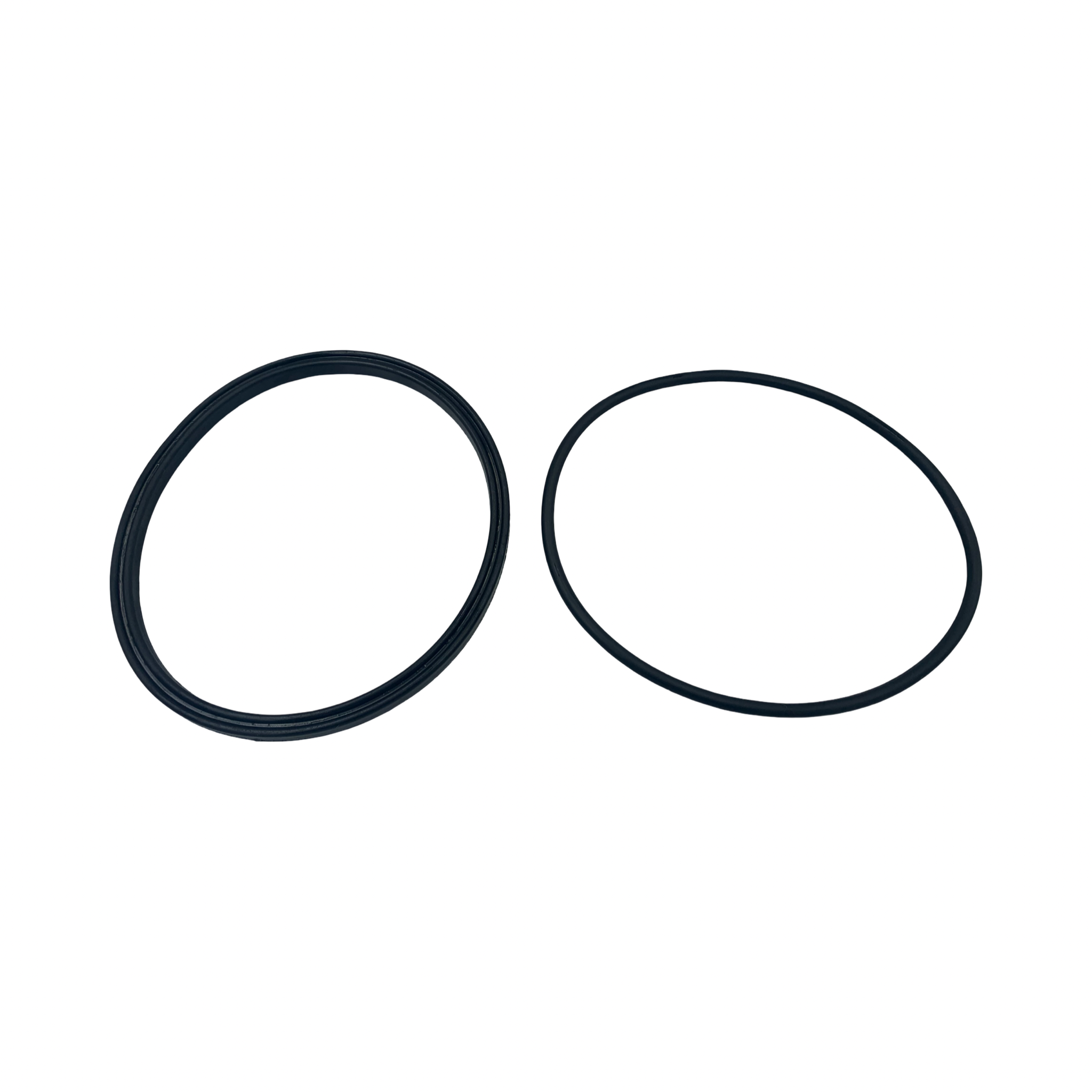 Jandy Lid Seal and O-Ring R0449100