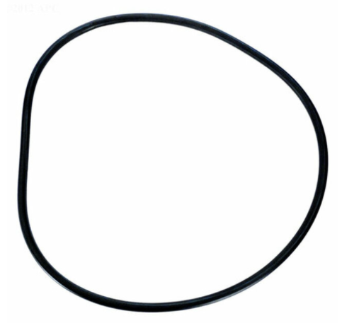 Pentair Tank O-Ring - 174704 - The Pool Supply Warehouse