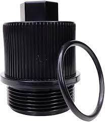 Pentair Drain Plug Cap Assembly - 190030Z
