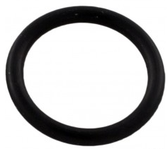 Pentair Drain Plug O-Ring - 192115Z