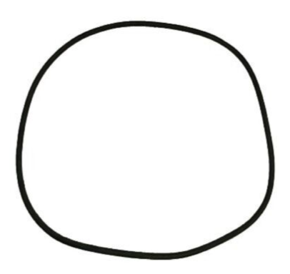 Pentair 25" O-Ring - 24850-0009 - The Pool Supply Warehouse