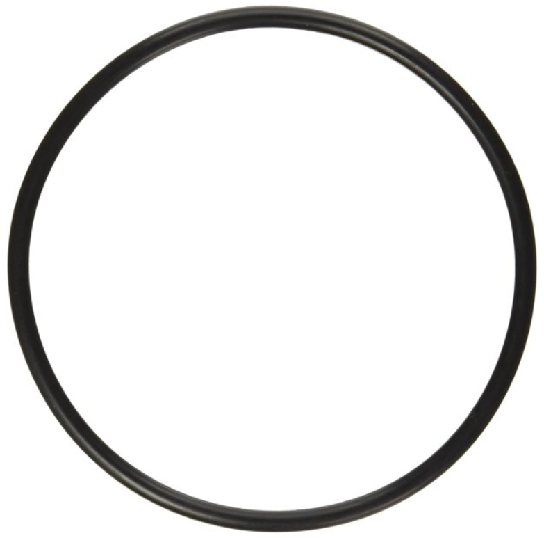 Pentair 272541 O-Ring Für Pool- & Spa-Filter – Ersatzteil Für Multiport-Ventile