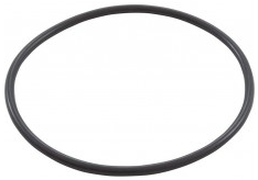Pentair Diffuser O-Ring For EQ-Series Commercial Pool and Spa Pump - 350037 - The Pool Supply Warehouse