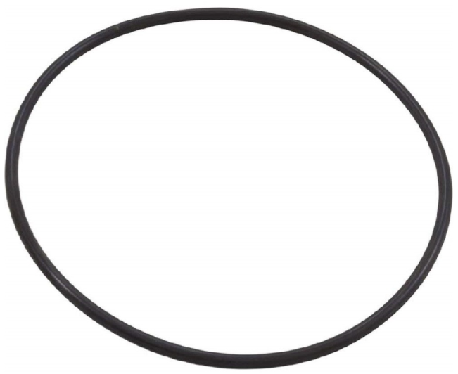 Pentair XF Series Seal Plate O-Ring For WhisperFloXF® Pump - 351446 - The Pool Supply Warehouse