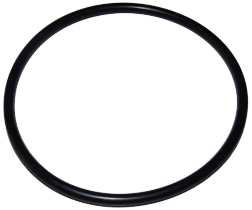 Pentair Diffuser O-Ring - 355331Z - The Pool Supply Warehouse