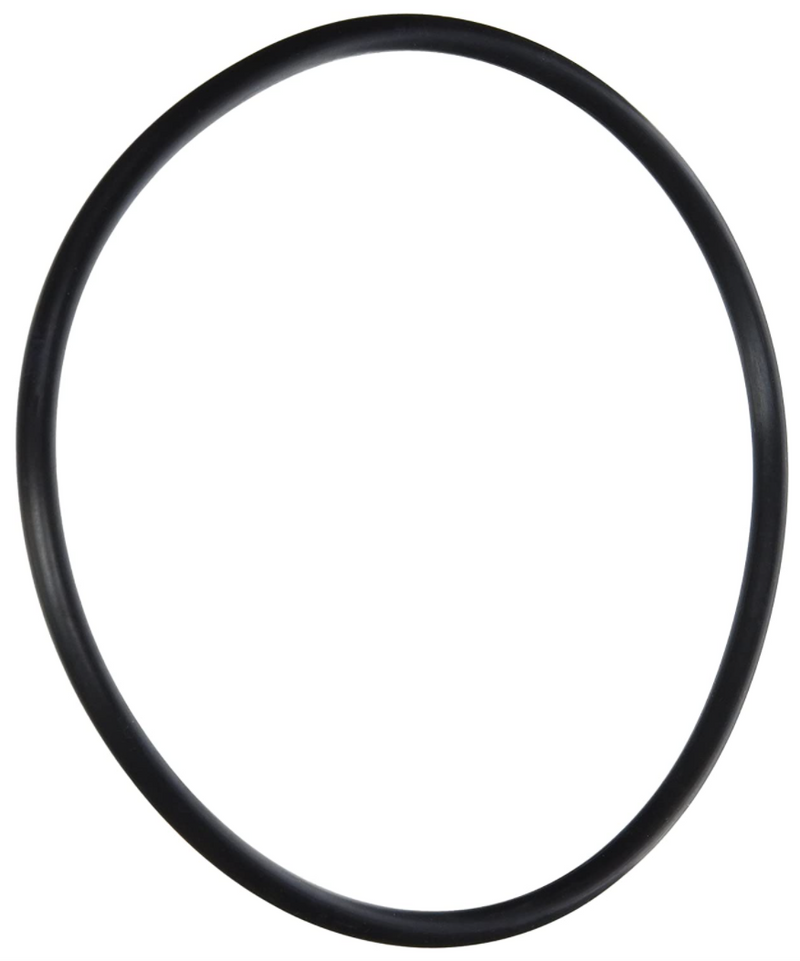 Pentair Clamp O-Ring - 39300600Z