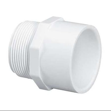 LASCO 436020 Male Adapter,2 In,MPT x Slip-The Pool Supply Warehouse
