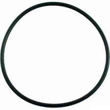 Waterway Plastics O-Ring For Champion 56-Frame Pump - 805-0238 - The Pool Supply Warehouse
