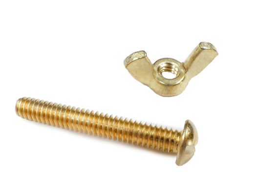 Pentair Rainbow Brass Nut and Bolt