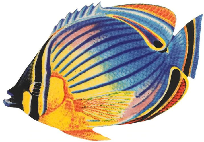 Custom Mosaics 5x5" Reef Fish Collection Red Fin Butterfly Fish Design - PORC-RF24-5