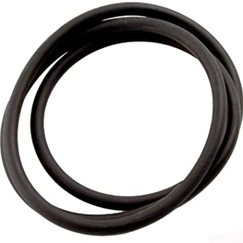 Zodiac Tank Top O-Ring For CS100/150/200/250 Filters - R0462700 - The Pool Supply Warehouse