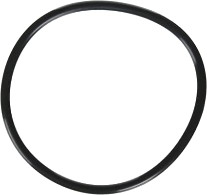Zodiac Lid O-Ring For Jandy FloPro FHPM Series Pumps - R0480200