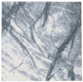 National Pool Tile 1 Sq-Ft. Serpentine Gray Tile - SPN-GRAY