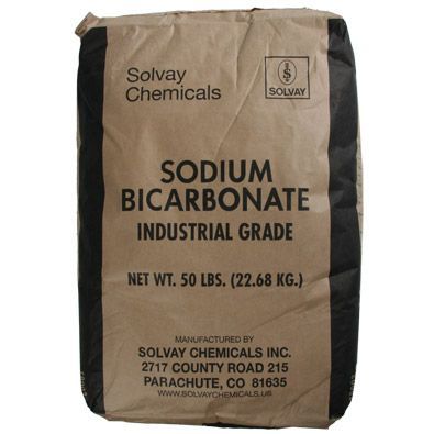 50LB Sodium Bicarbonate-The Pool Supply Warehouse