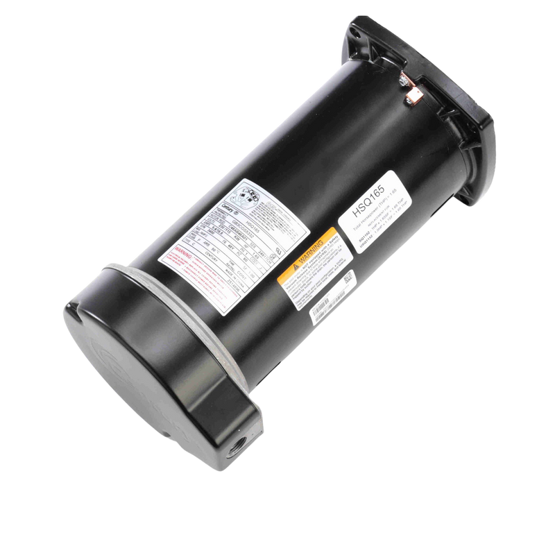 Century® 1.65 THP Square Flange Pool and Spa Pump Motor - HSQ165