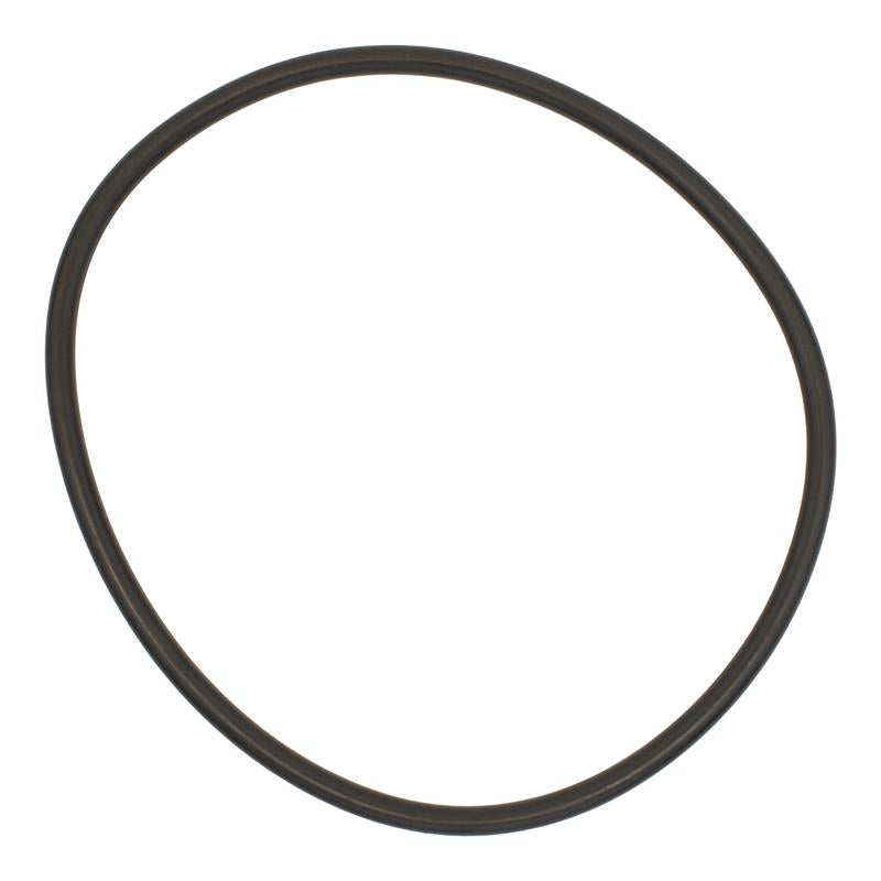 Pentair Dynamo Pump Lid O-Ring - 354533