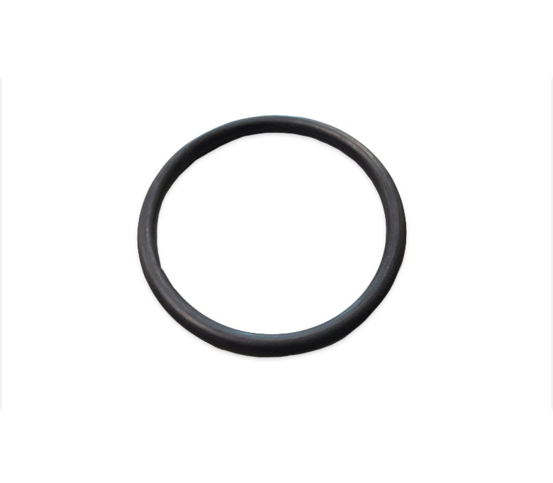 Solaxx / PureChlor Cell O-Ring-The Pool Supply Warehouse