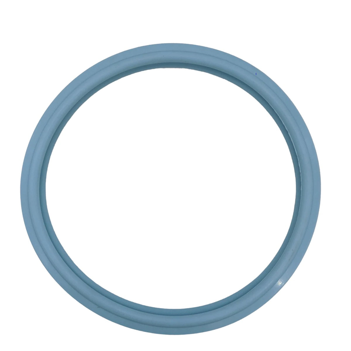 PoolTone® Replacement Lens Gasket 8 1/2IN